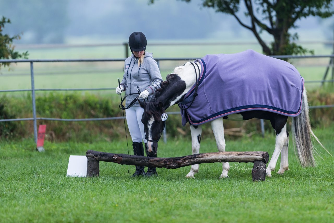 Bild 9 - Pony Akademie Turnier